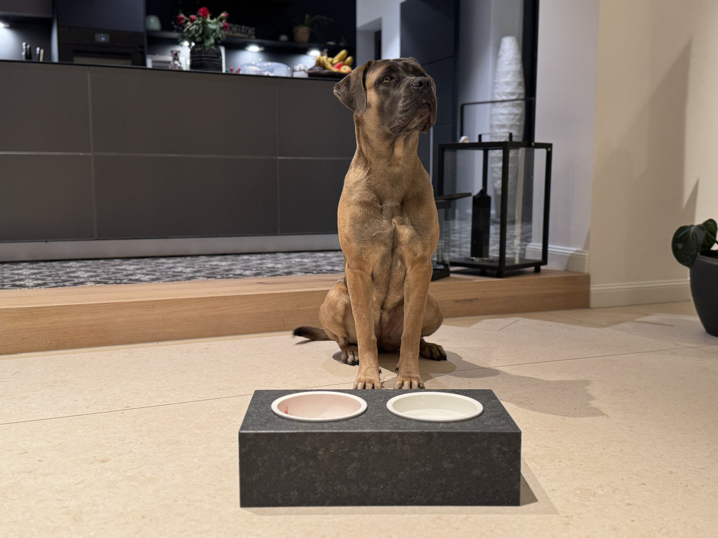 Haustiernapf - Nero©