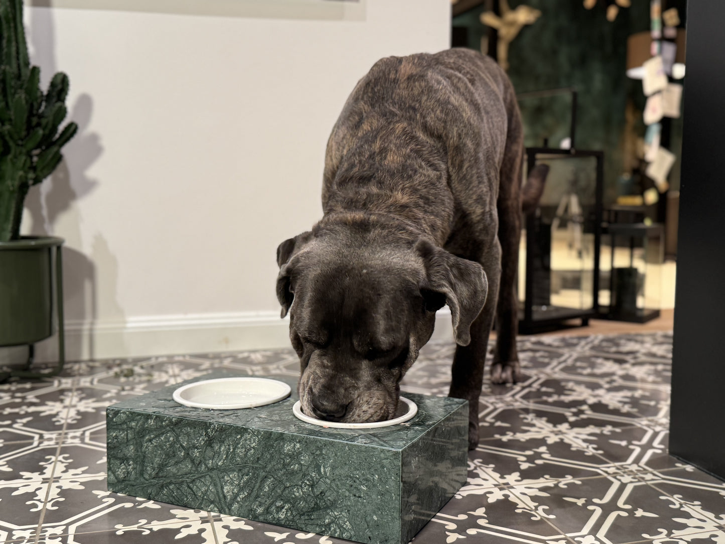 Haustiernapf - Verdó©