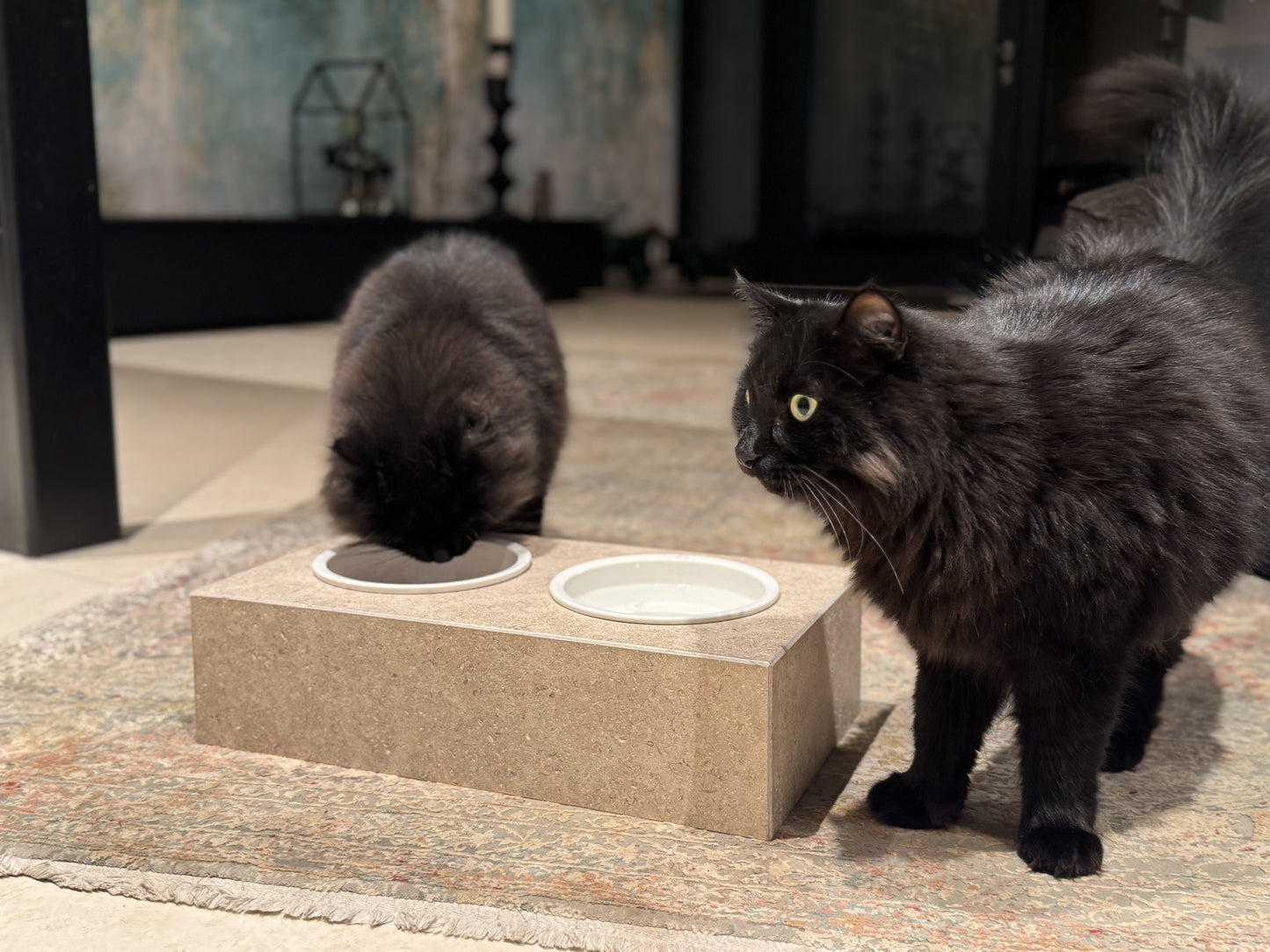 Haustiernapf - Cremó©